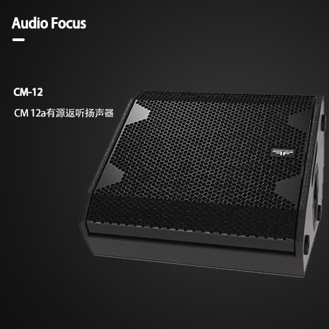 ARES CM-12 大中型會議室音響套裝 舞蹈培訓室學校專用音響系統(tǒng)設備全套