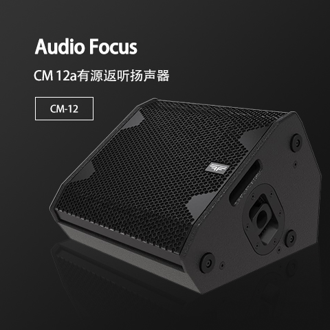 ARES CM-12 大中型會議室音響套裝 舞蹈培訓室學校專用音響系統(tǒng)設備全套